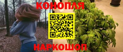 стаф Новодвинск
