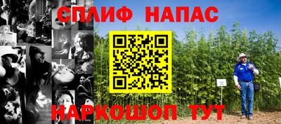 apvp Новозыбков