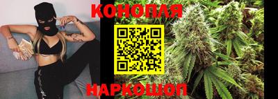 apvp Новозыбков